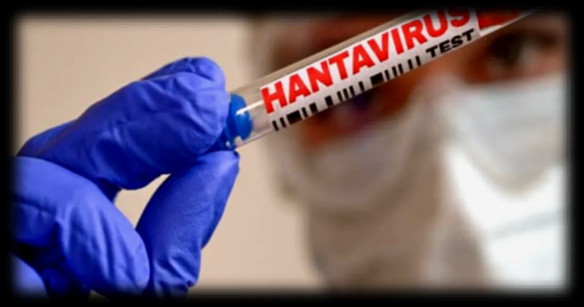 Hantavirus : réunion interministérielle à Matignon après l'évacuation d'un navire de croisière et l'identification de cas en France