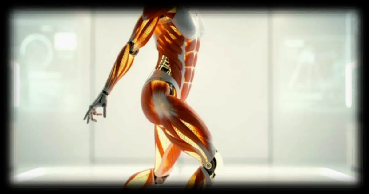 Harvard crée des muscles artificiels imprimés en 3D pour des robots plus proches du vivant