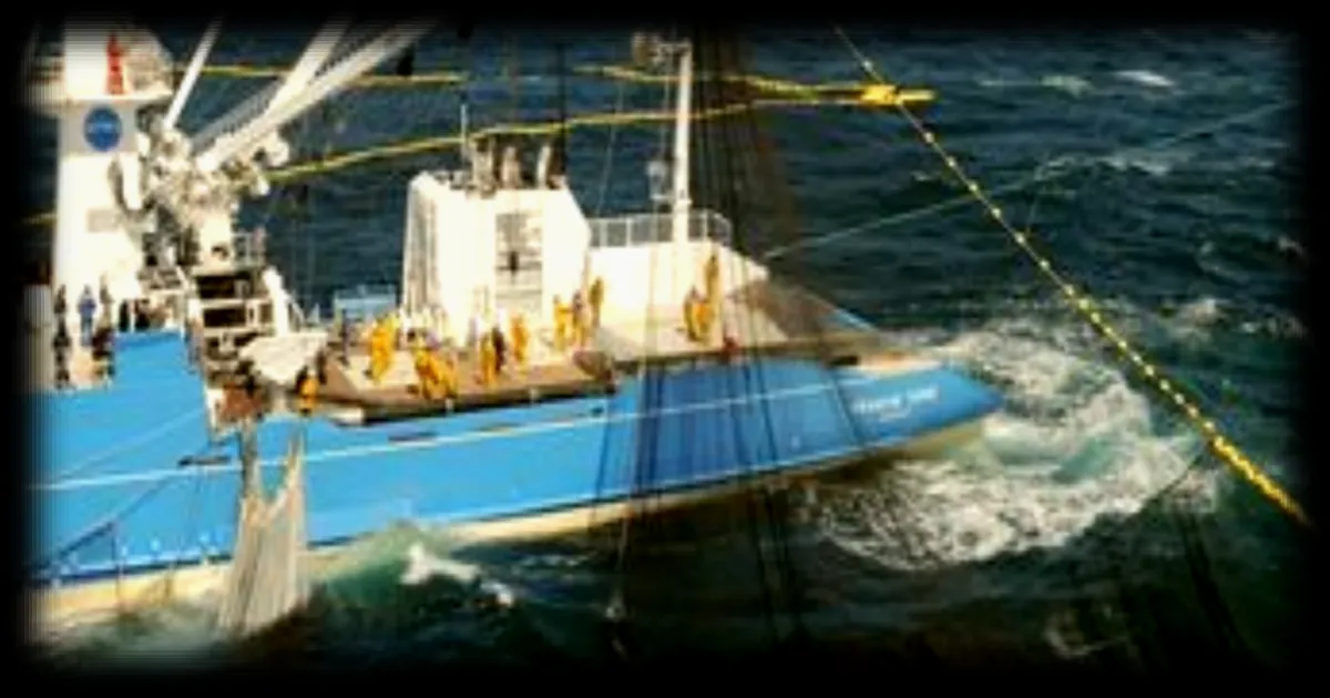 Hausse des prix du carburant : le secteur de la pêche au thon océanique impacté