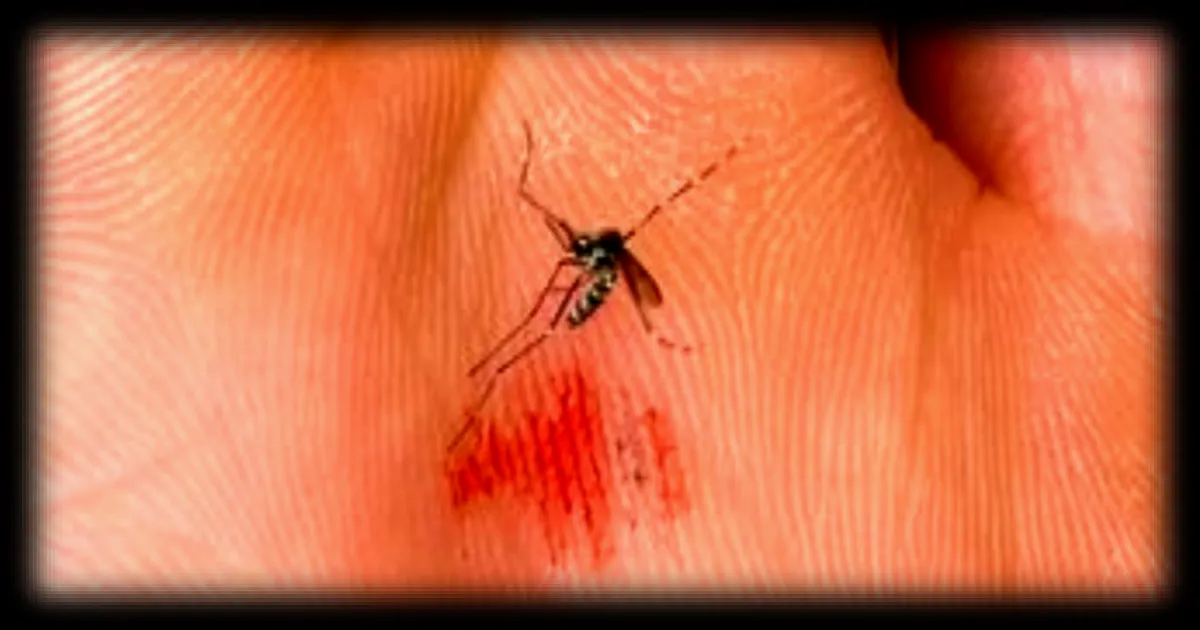 Hausse des températures en Europe : quelles maladies menacent le continent selon une étude du Lancet Countdown