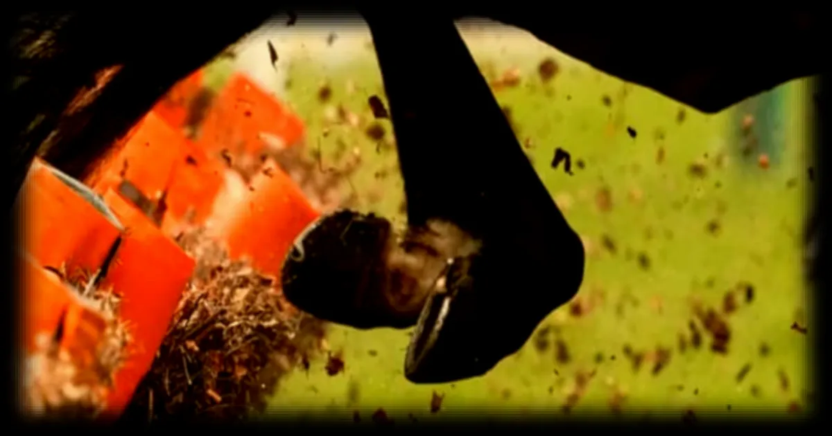 Hippisme: Un Cheval Euthanasié après sa Victoire au Grand National Meeting en Angleterre