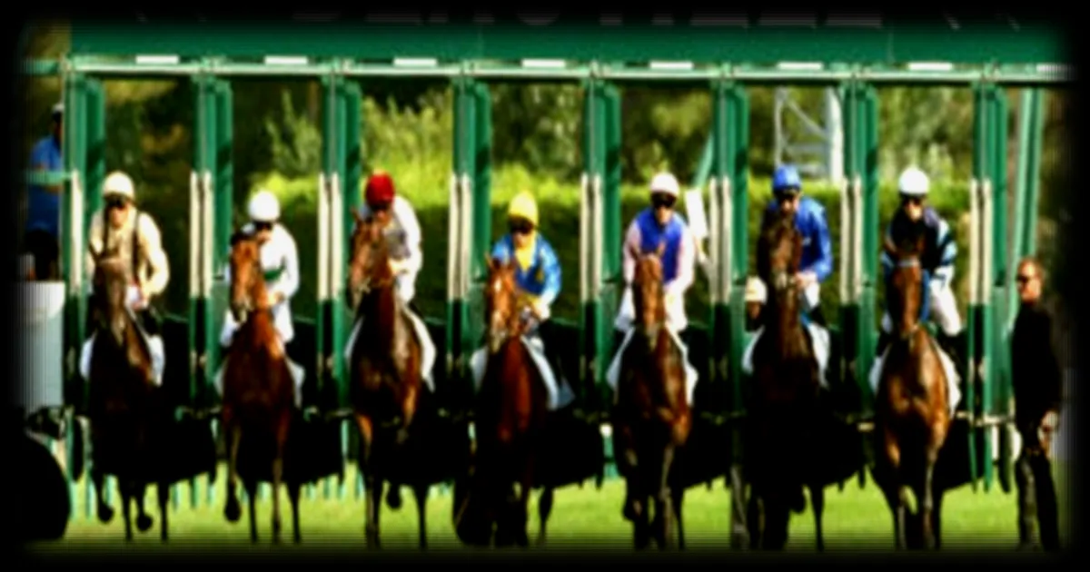 Hippodrome de Deauville : les pronostics pour le Quinté+ du 30 août 2026 selon RMC Sport