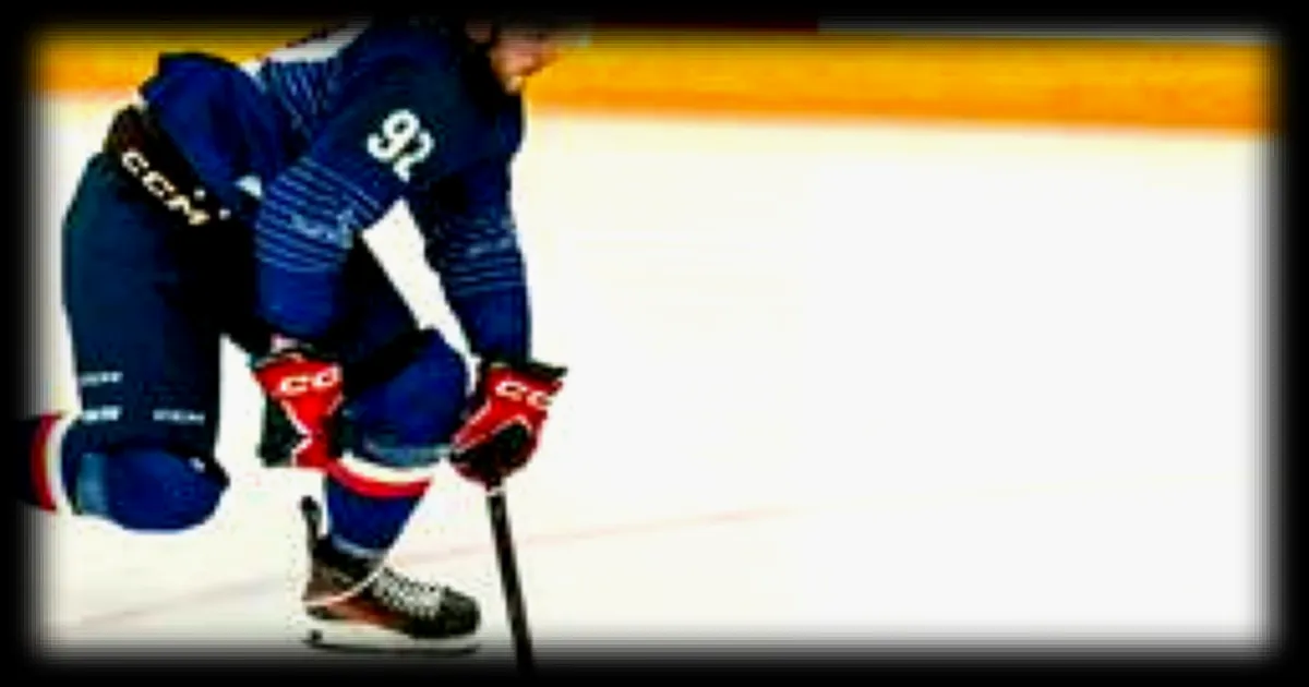 Hockey sur glace : les Boxers de Bordeaux sacrés champions de France pour la première fois face à Grenoble