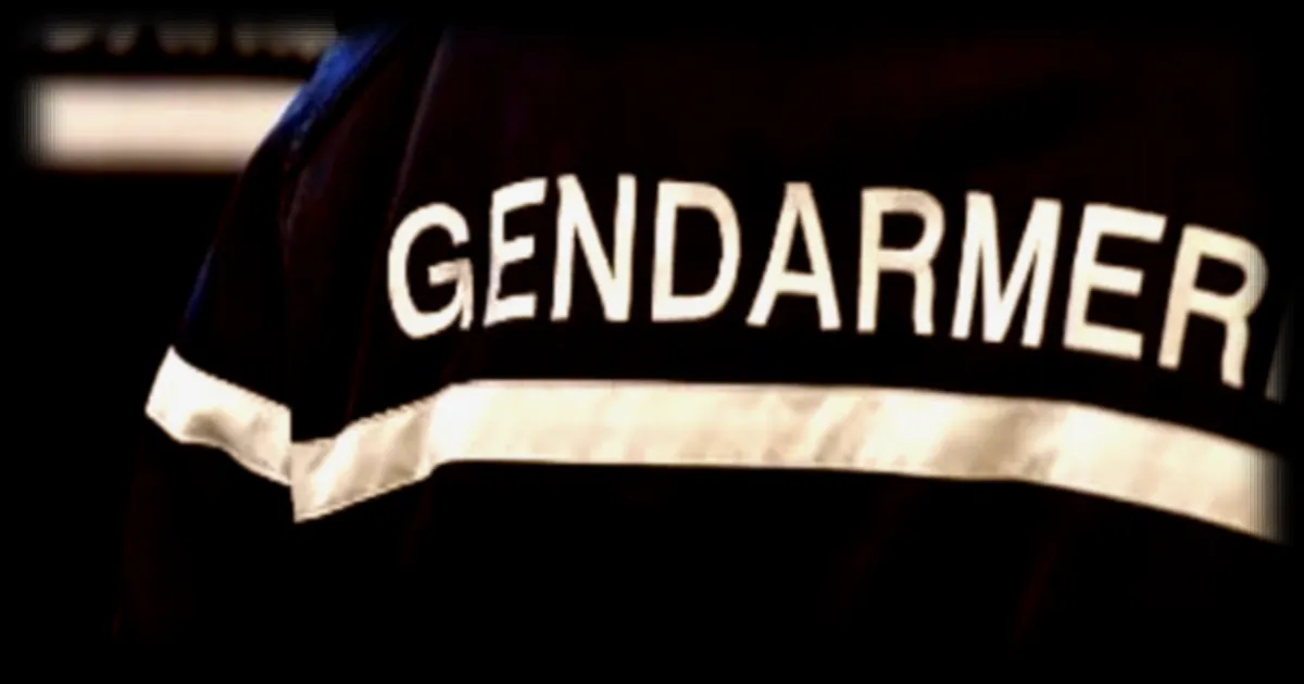 Home-jacking d'un PDG à Nîmes : Trois individus déférés devant un juge, un quatrième remis en liberté