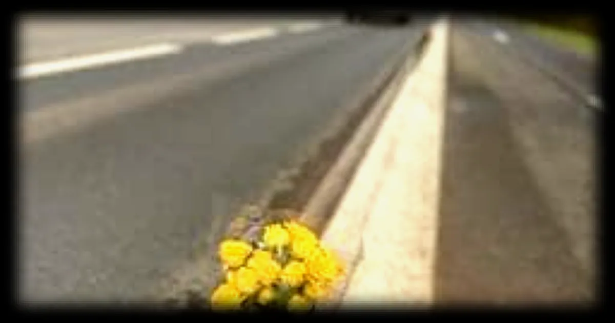 Homicides routiers près de Nantes : le suspect mis en examen deux mois après le drame