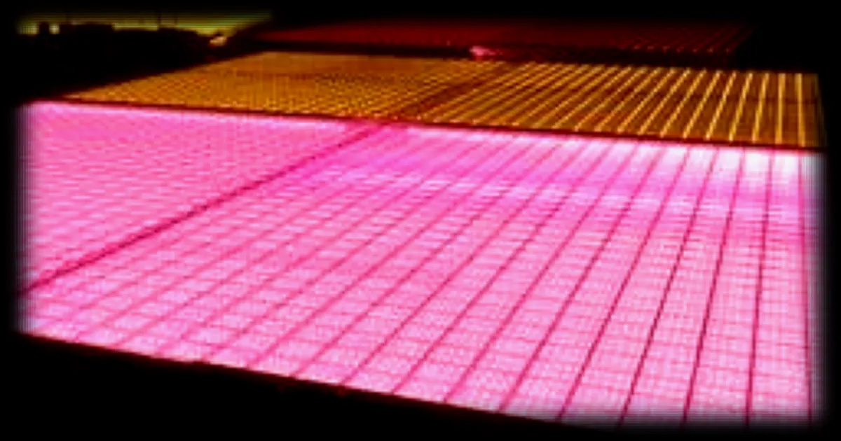 Hugo Clément remporte une victoire judiciaire contre une entreprise de culture intensive à Carquefou et critique le label HVE