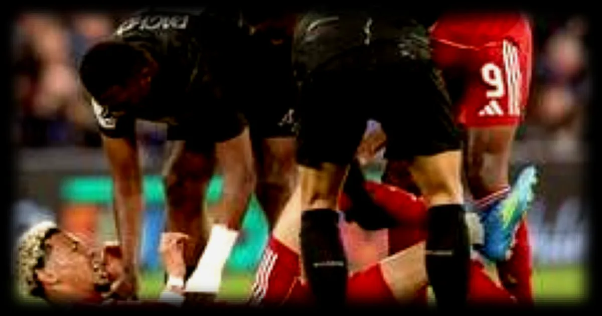 Hugo Ekitike opéré avec succès pour une rupture du tendon d’Achille après son choc en Ligue des champions