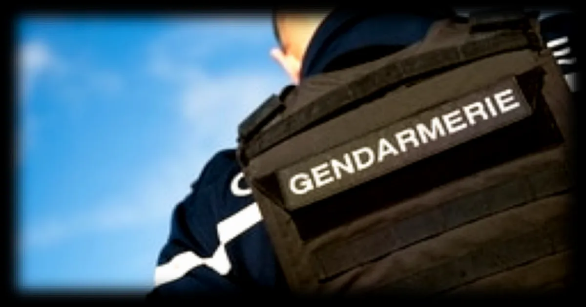 Huit militants écologistes relaxés après le blocage d’un chantier dans la Drôme et l’Ardèche