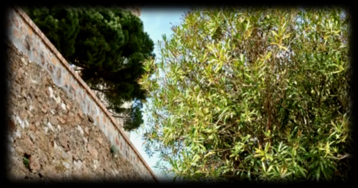 Immobilier de luxe : Paris écrase le marché, la Côte d’Azur dans le sillage des prix records