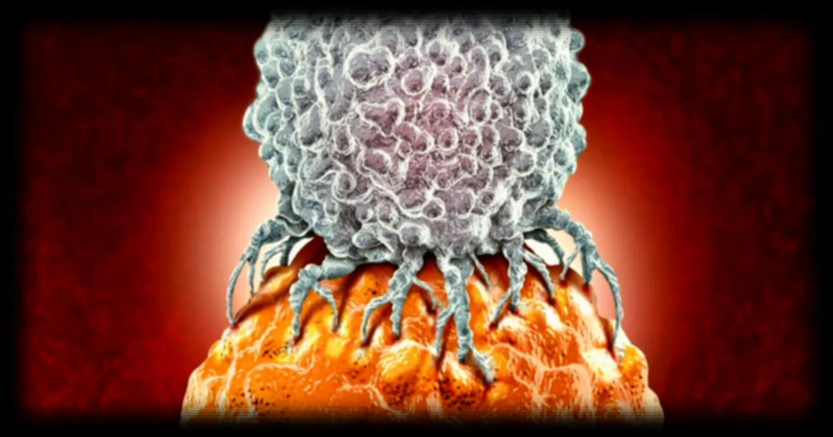 Immunothérapie contre le cancer de la prostate : des activateurs de lymphocytes T « masqués » montrent des résultats prometteurs