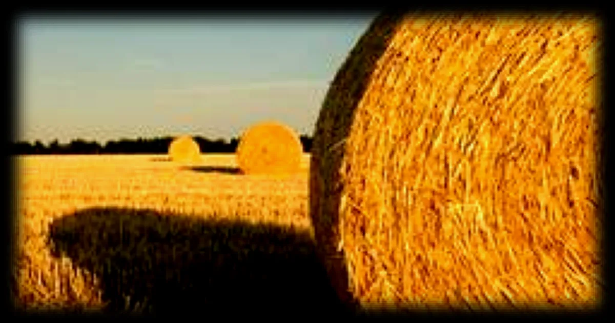 Incendie dans la Marne : deux enfants de 12 ans déclenchent un feu qui ravage 600 tonnes de paille