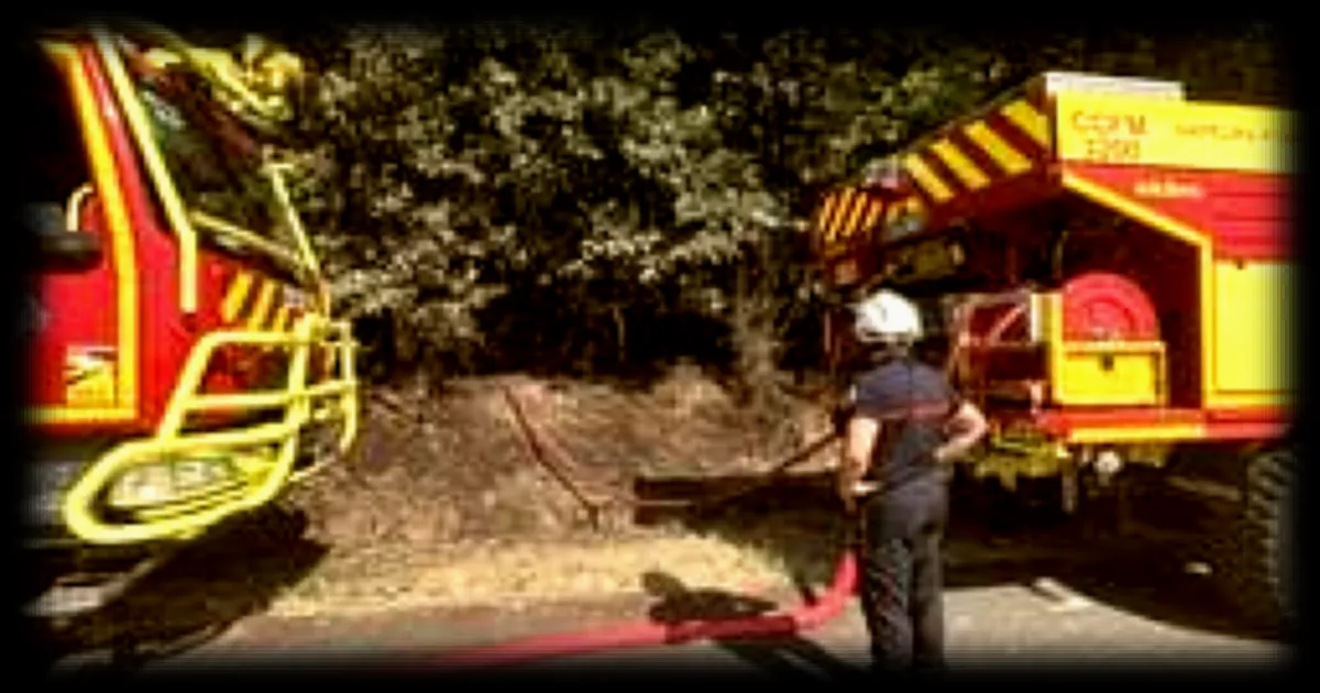 Incendie dans le Maine-et-Loire : 150 pompiers toujours mobilisés après l'extinction de l'incendie