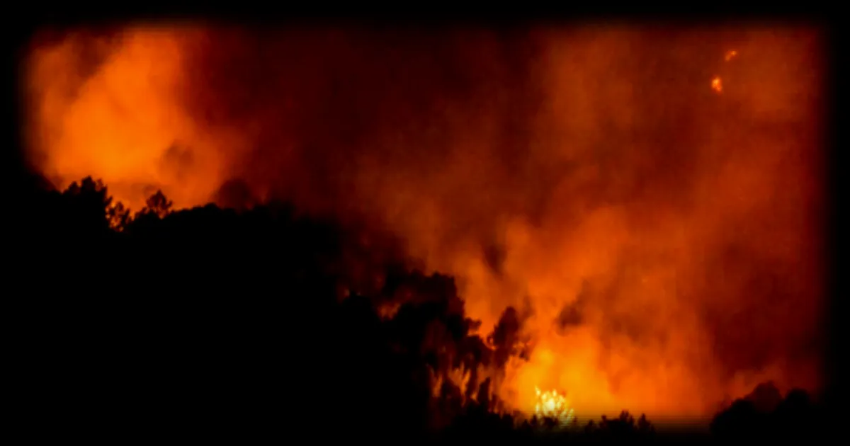 Incendie dans le sud de la France : 800 hectares parcourus, des évacuations en cours