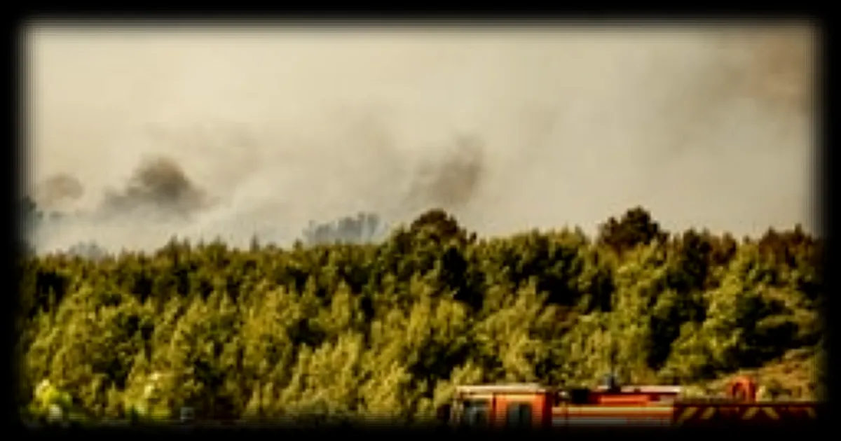 Incendie dans l’Hérault : un homme de 27 ans placé en détention provisoire pour un départ de feu ayant ravagé 20 hectares