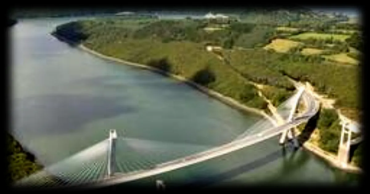 Incendie dans un espace boisé du Finistère: 3 hectares d'arbres résineux détruits