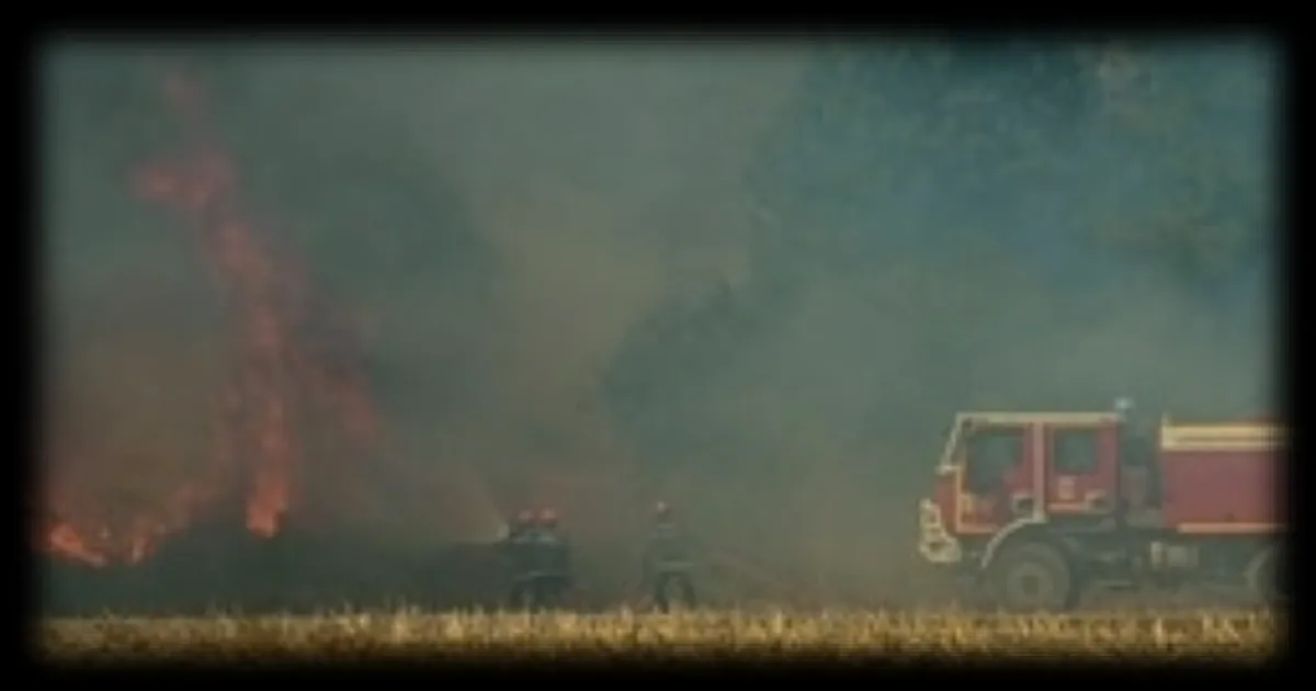 Incendie de chaume à Ombrée-d’Anjou : une dizaine d’hectares partis en fumée