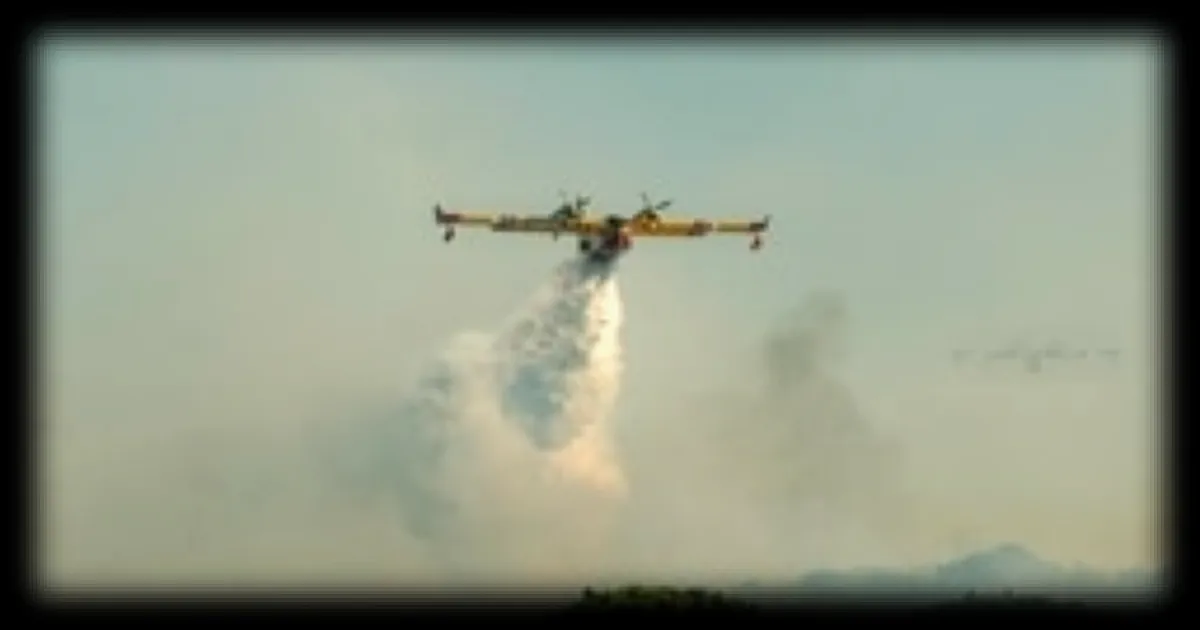 Incendie de forêt en Drôme : les vents violents entravent les efforts de lutte