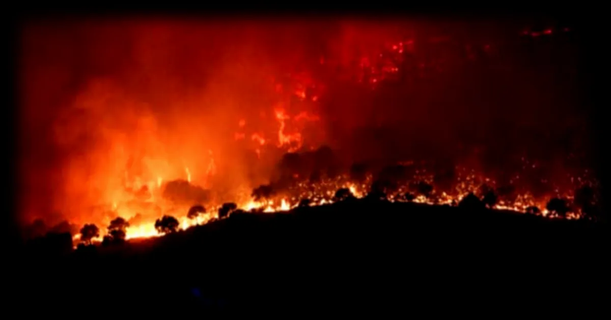 Incendie de Madrid : l'incendie est « au plus fort » selon les autorités