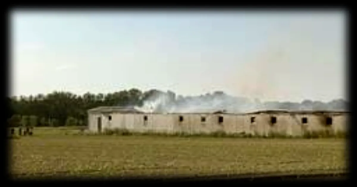 Incendie d'une porcherie en Bretagne : 1 600 porcs périssent