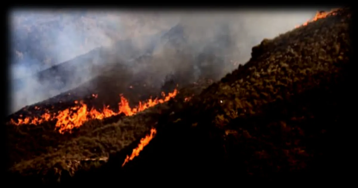 Incendie en Espagne : 6.600 hectares brûlés, « évolution favorable » du feu pendant la nuit