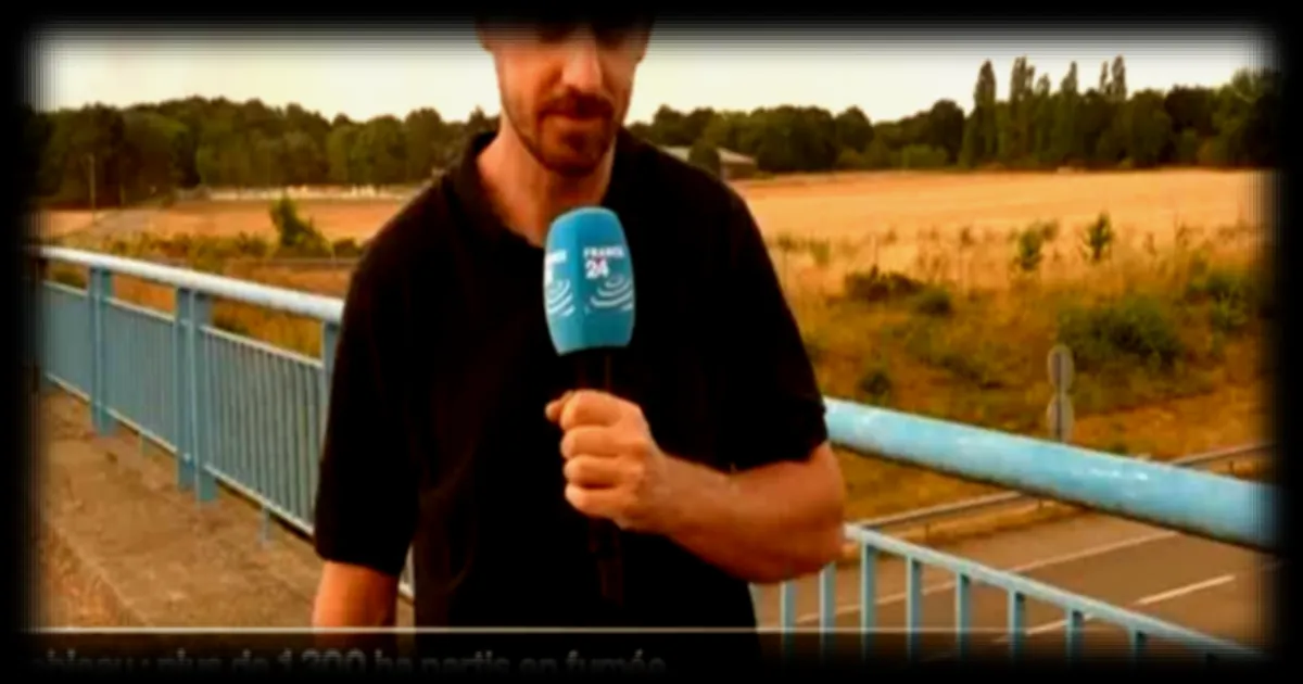 Incendie en forêt de Fontainebleau : situation critique et évacuations