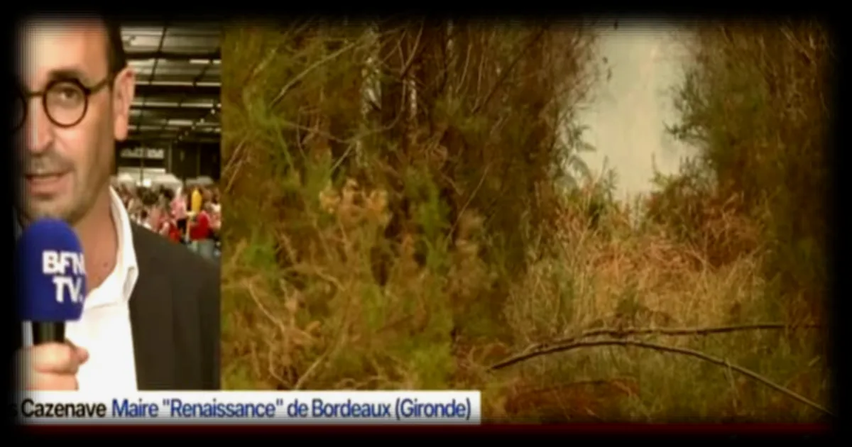 Incendie en Gironde : Roland Lescure accepte l'ouverture de la cellule de crise économique