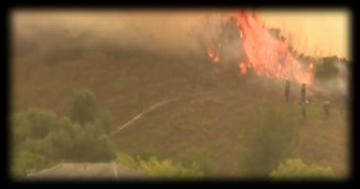 Incendie en Haute-Corse : plus de 100 hectares de maquis ravagés à Cagnano
