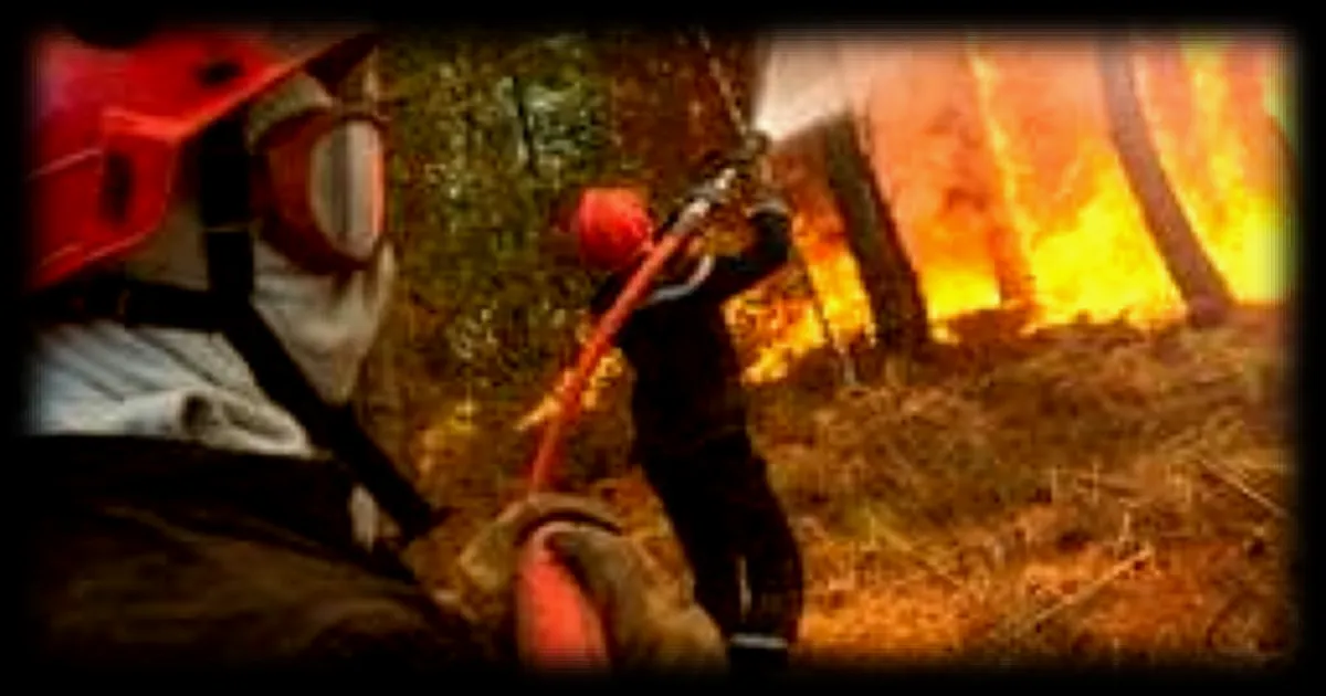 Incendie en Lozère : 110 hectares de forêt détruits avant d'être maîtrisés par plus de 150 pompiers