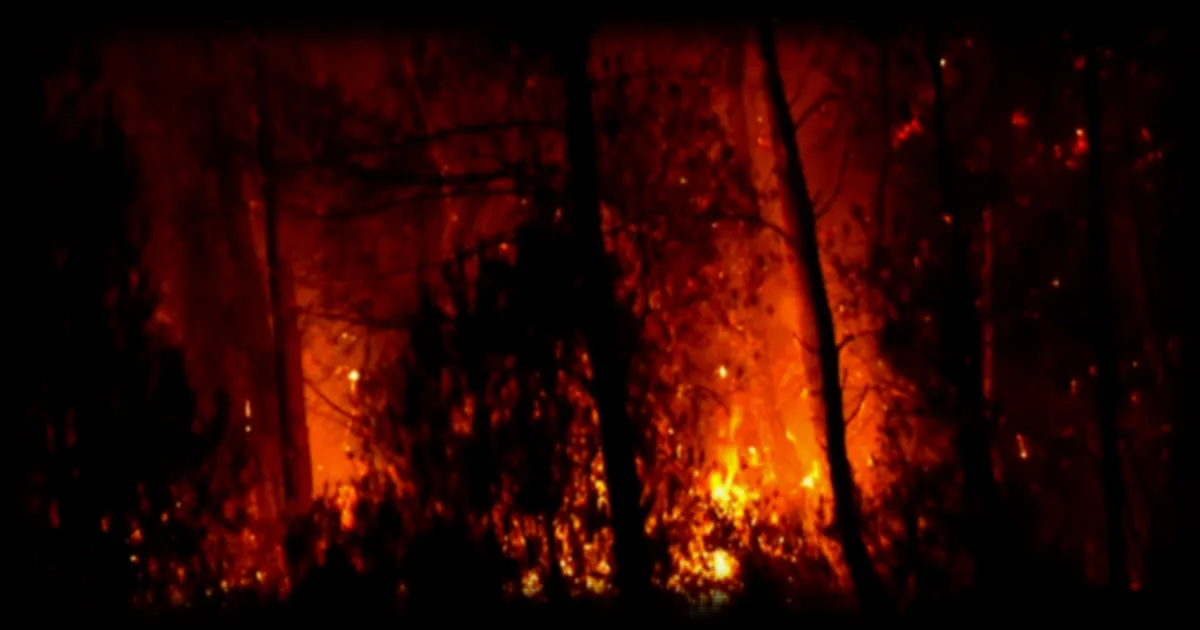 Incendie majeur dans le Var : les pompiers en lutte depuis quatre jours contre un feu persistant