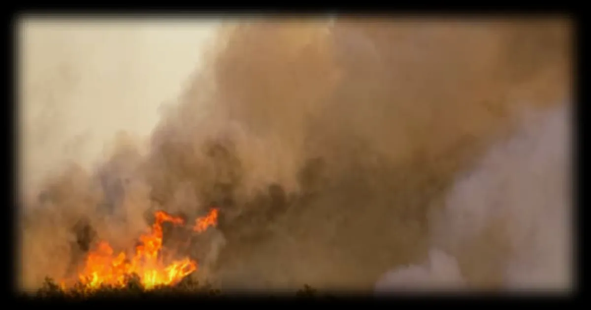 Incendie près de la Costa Brava : 2 200 hectares brûlés et une journée sous haute tension pour les pompiers