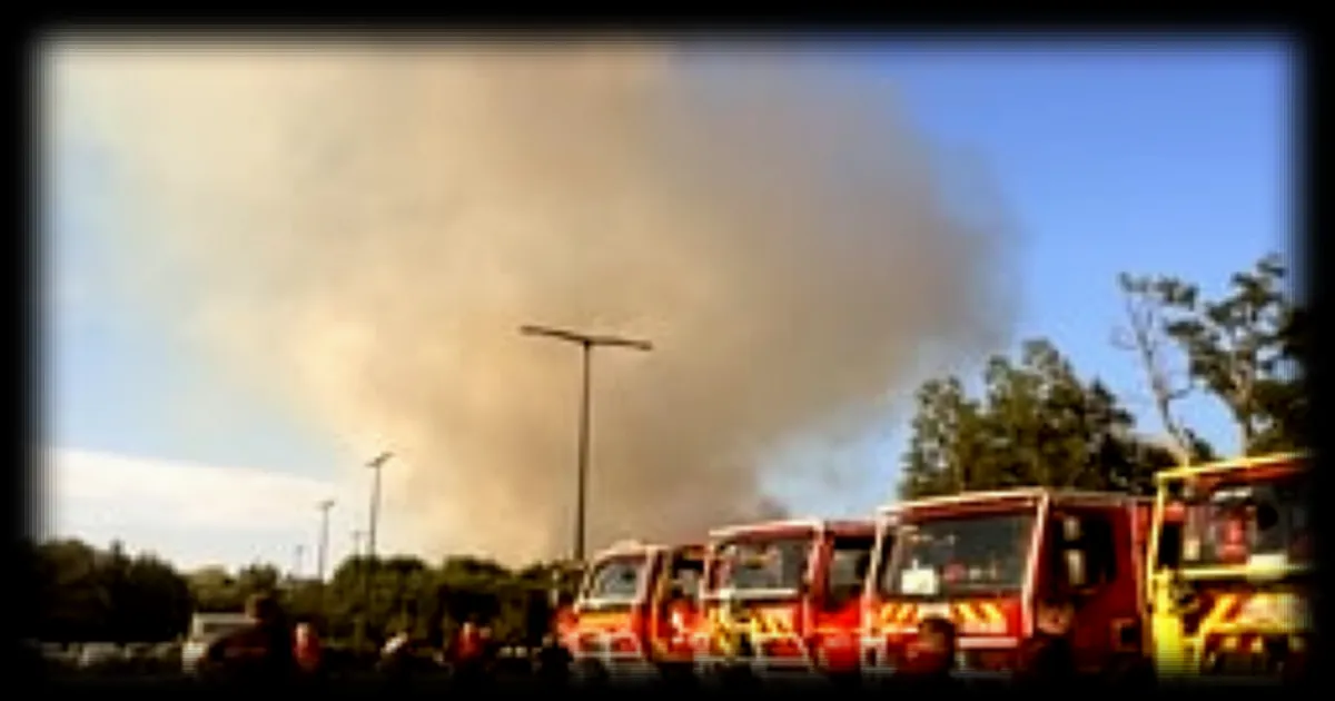 Incendie près du Mans : 90 soldats du feu mobilisés pour lutter contre les flammes