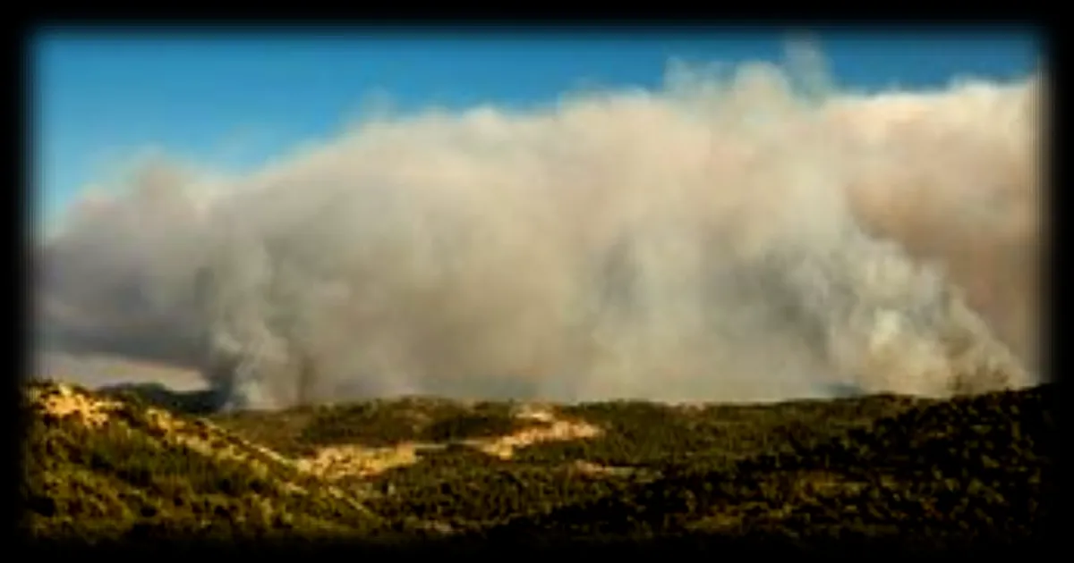 Incendies : 10 000 personnes évacuées dans les Pyrénées-Orientales, quelque 3 000 pompiers mobilisés pour lutter contre une vingtaine de feux dans tout l'Hexagone