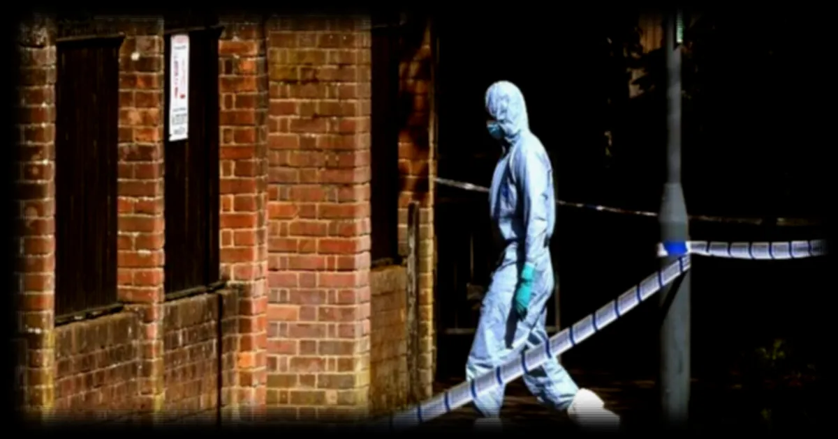 Incendies criminels à Londres : la police britannique procède à huit nouvelles interpellations