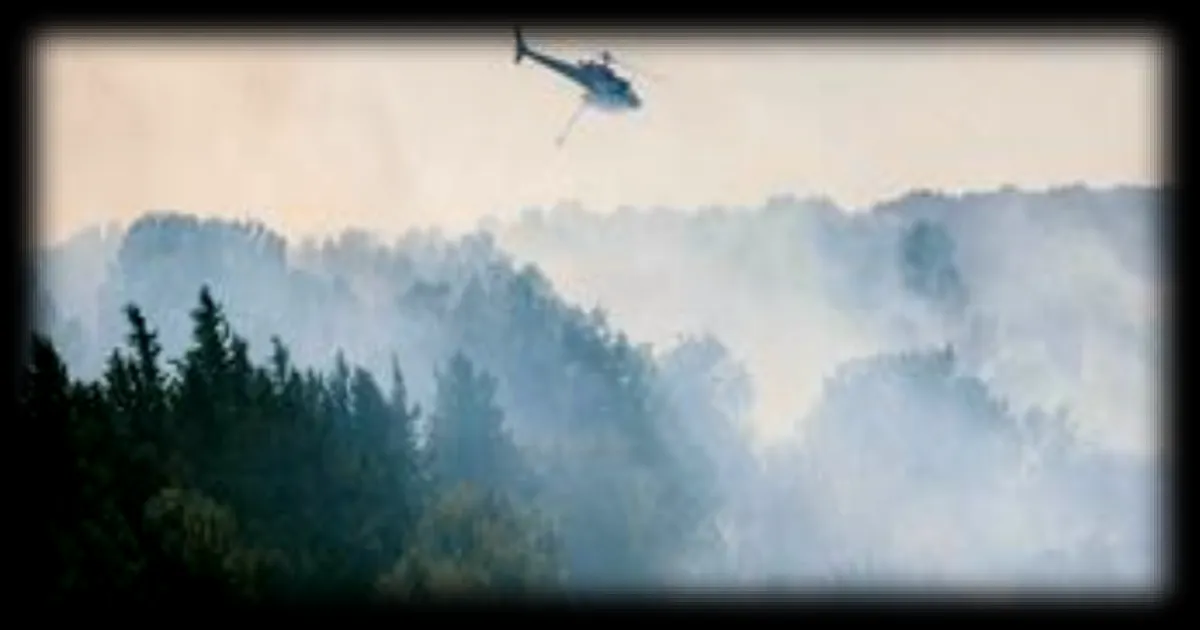 Incendies dans le sud de la France : des feux précoces qui menacent la biodiversité et les puits de carbone