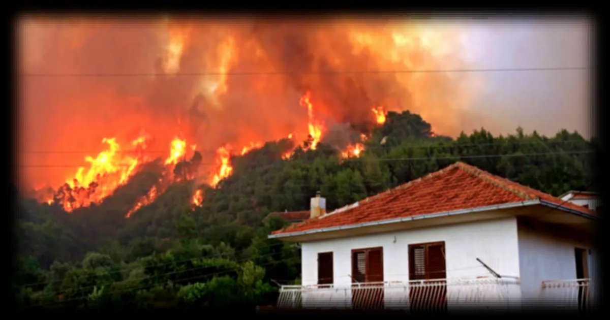 Incendies de forêt : les recommandations de sécurité à suivre en cas de feu proche de chez vous