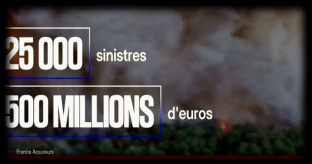 Incendies de l'été 2026 : 25 000 sinistres et 500 millions d'euros de dégâts selon BFM Business