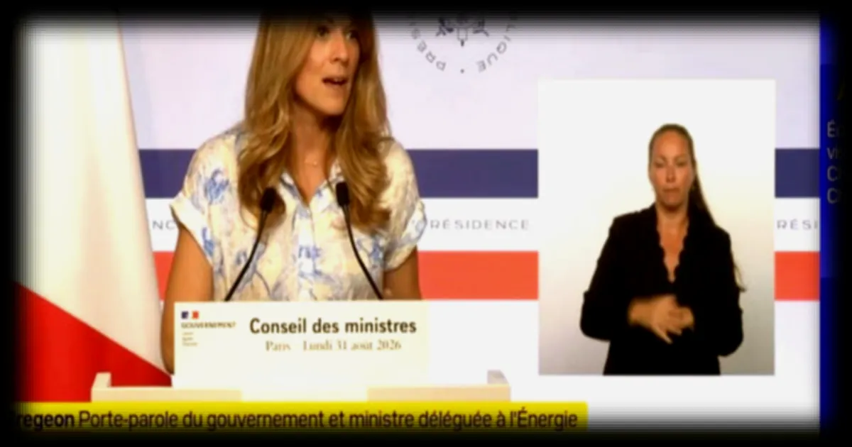 Incendies en Algérie : Emmanuel Macron se dit prêt à apporter une assistance française