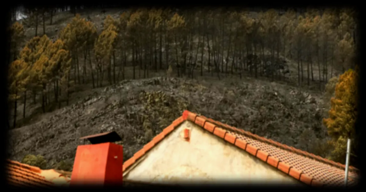 Incendies en Espagne : Pedro Sanchez voit « la lumière au bout du tunnel »