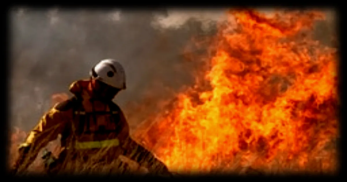 Incendies en France : 375 personnes interpellées depuis le début de l'été, dont 142 mineurs