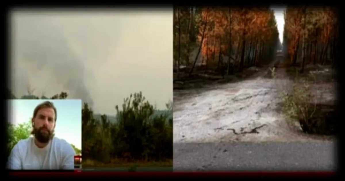 Incendies en France : les réservations impactées par la communication