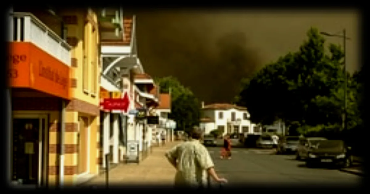 Incendies en Gironde : 14 500 entreprises touchées, des solutions d'urgence mises en place