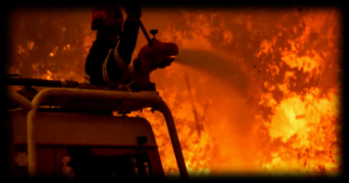 Incendies en Gironde et Landes : 115 000 hectares brûlés depuis le début de l’année, l’OFCE alerte sur les impacts économiques