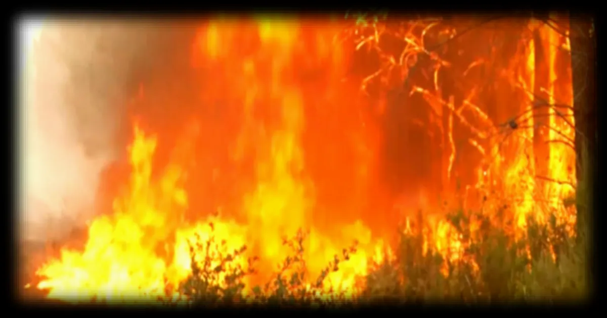 Incendies en Gironde : le retour des méga-feux dans le sud-ouest de la France