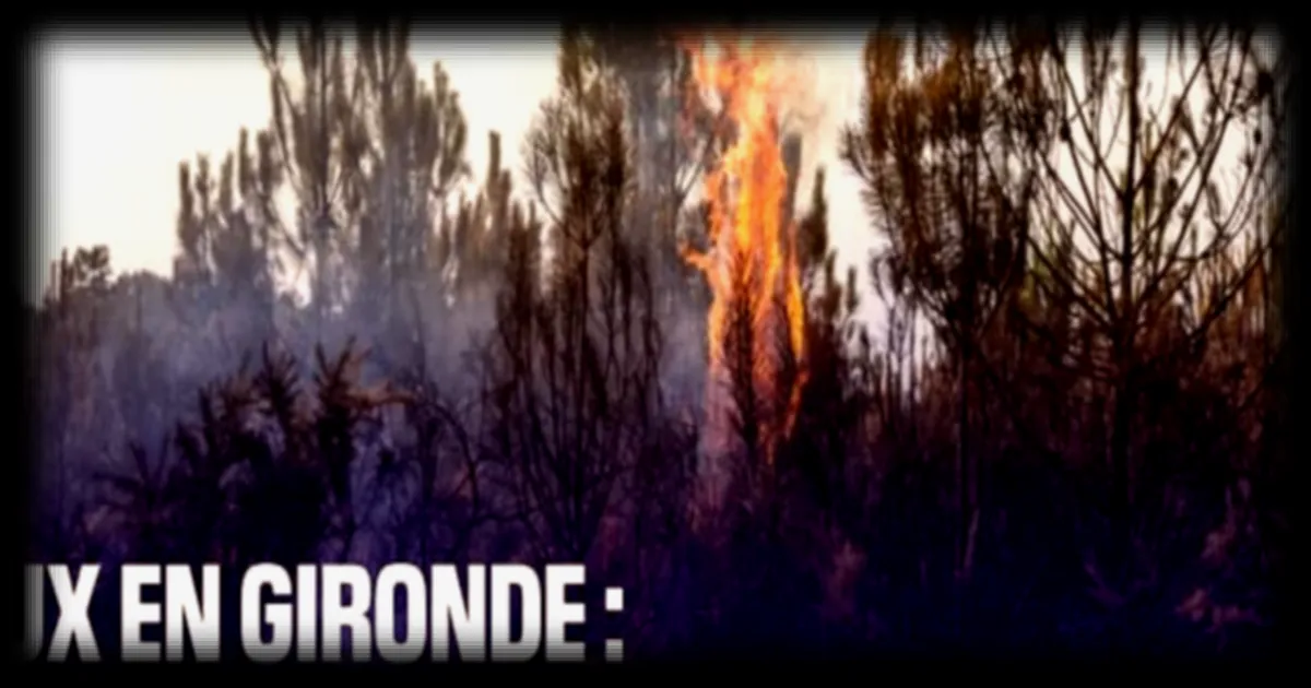 Incendies en Gironde : les commerces et hébergements touristiques rouvrent progressivement après les feux
