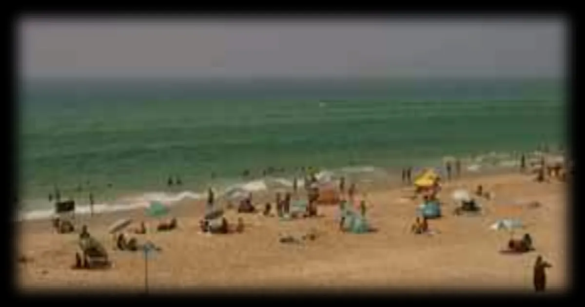 Incendies en Gironde : les vacances au goût amer à Biscarrosse