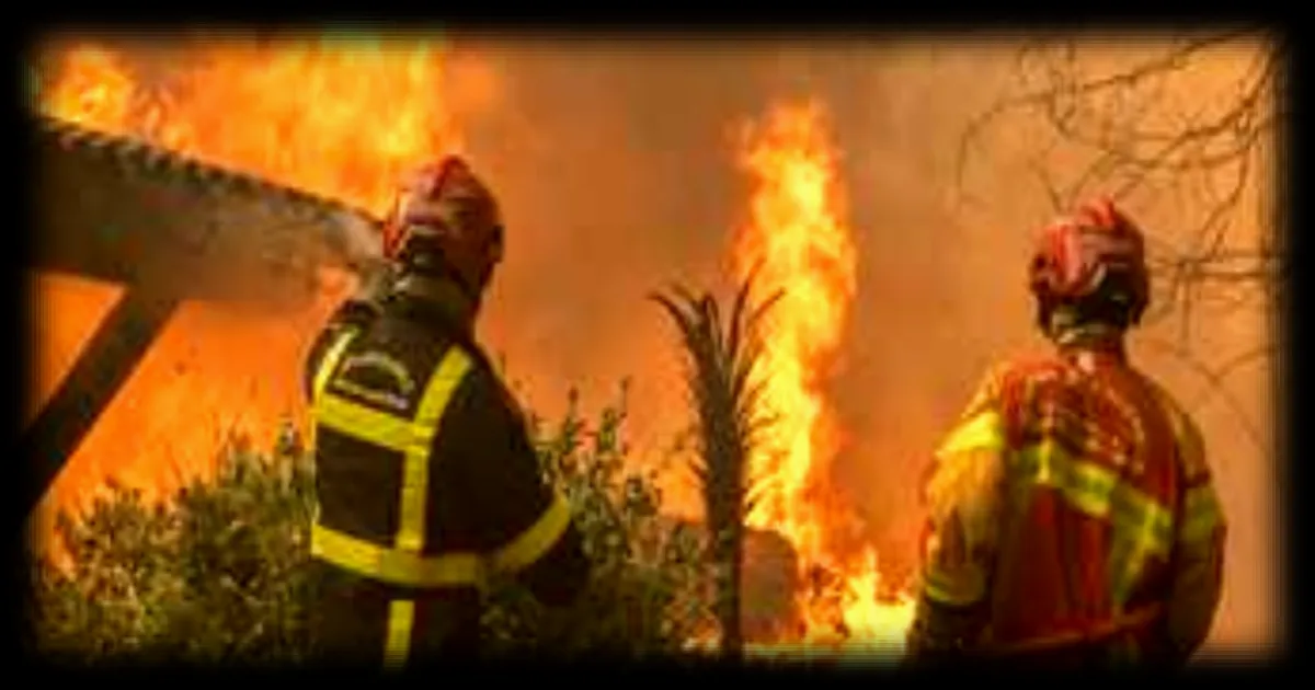 Incendies en Gironde : malgré l'évacuation, des habitants du Cap Ferret restent pour protéger leur village