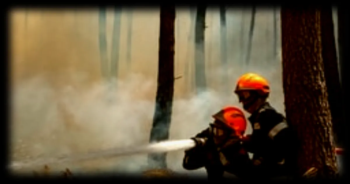 Incendies estivaux : les profils des 184 premières interpellations en France depuis le début de l'été