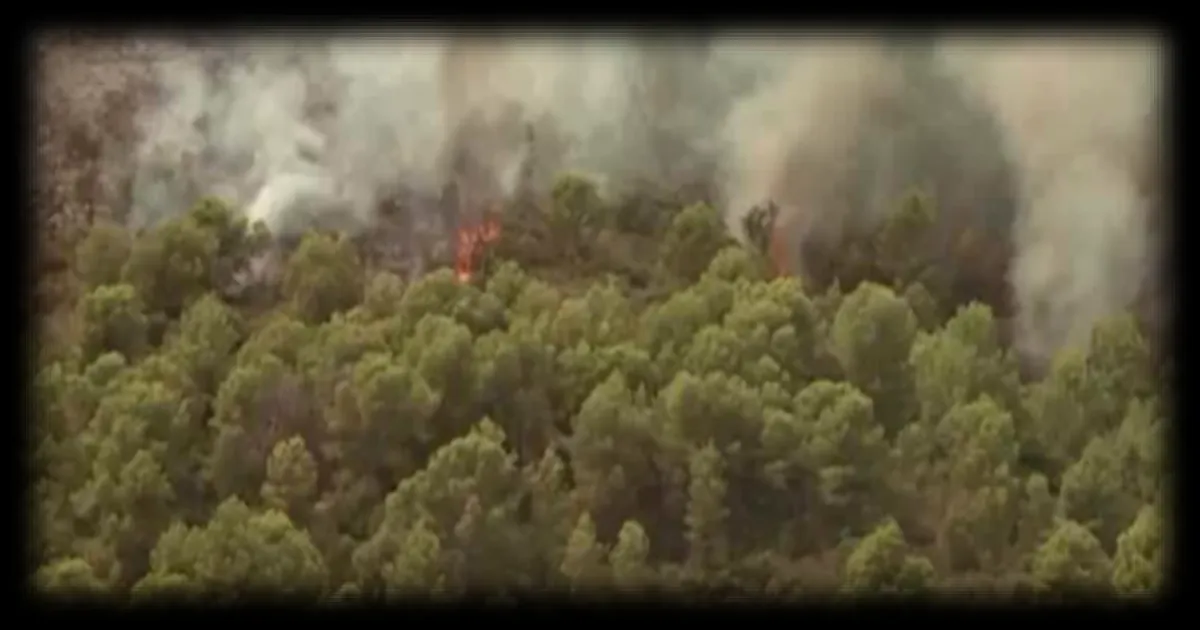 Incendies près de Madrid : premiers retours à domicile annoncés, mais les feux persistent