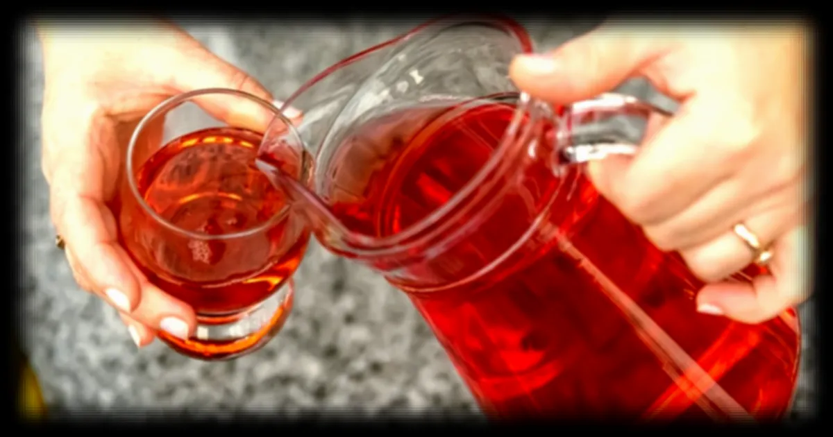 Infections urinaires : une étude explore l’effet du jus de canneberge sur l’efficacité des antibiotiques