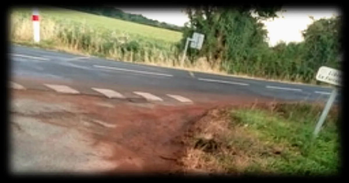 Infestation massive de punaises des champs en Vendée : une route fermée à la circulation